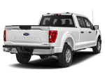 2023 Ford F-150 XLT Sport Appearance Pkg. | Max Tow Pkg. | 6.5' Bed