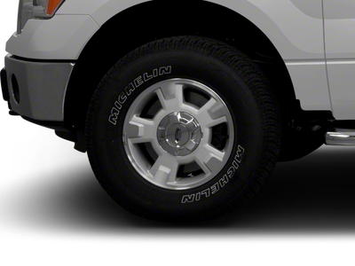 2010 Ford F-150 FX4
