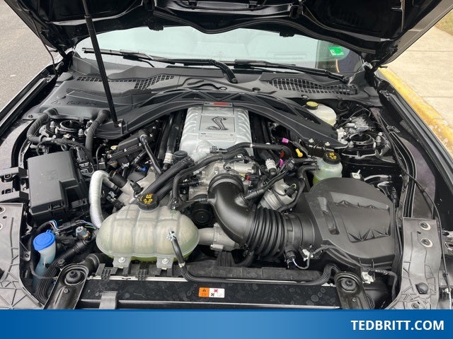 2021 Ford Mustang Shelby GT500 | Tech Pkg | GT500 Exclusive Pkg | Handling Pkg