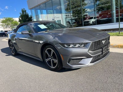 2025 Ford Mustang EcoBoost Premium | 12" TOUCHSCREEN | AMBIENT LIGHTING