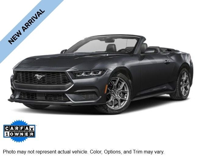 2025 Ford Mustang's photo