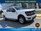 2025 Ford F-150 XLT 5.0L V8 4WD | BLIS | Remote Start | Class IV Tow