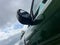2025 Ford Bronco Sport Big Bend 4WD | BLIS | Black Diamond Off-Road Pkg