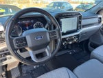 2021 Ford F-150 XLT | 302A | 5.0L V8 ENGINE | CO-PILOT 360 2.0