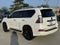 2020 Lexus GX 460 | Premium Pkg |