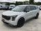 2025 Kia Carnival Hybrid SX