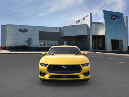 2024 Ford Mustang EcoBoost Premium in Chantilly, VA - Ted Britt Ford of Chantilly