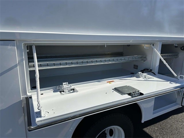 2025 Ford E-350SD Base Cutaway