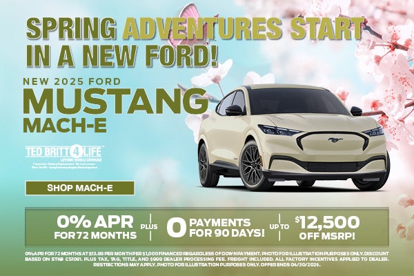 NEW 2025 FORD MACH-E